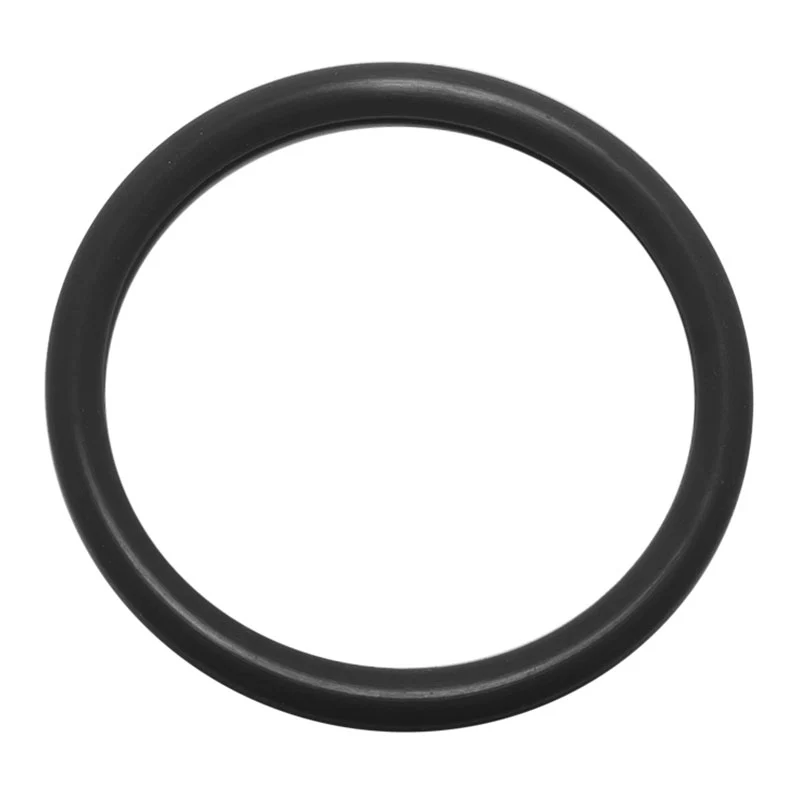 O-Ring Viton Seal